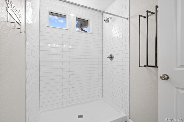9257 Mayflower Gulch Way, Colorado Springs, CO 80927 - bathroom with a stall shower and a textured wall