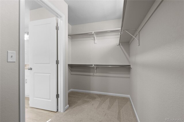 9257 Mayflower Gulch Way, Colorado Springs, CO 80927 - spacious closet with light colored carpet