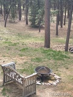 view of yard with an outdoor fire pit