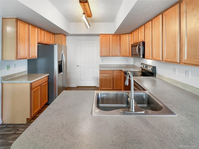 kitchen with sink, a tray ceiling, and stainless steel appliances