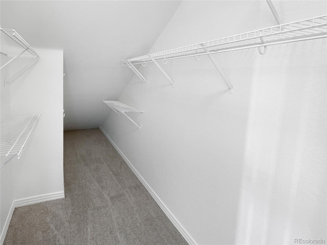 walk in closet featuring vaulted ceiling and carpet flooring