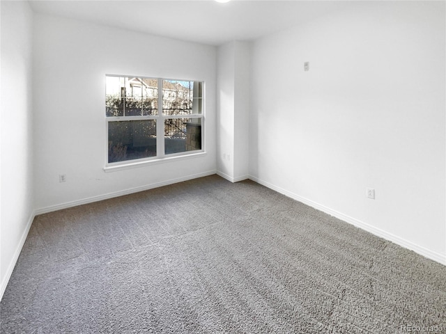 spare room with carpet floors