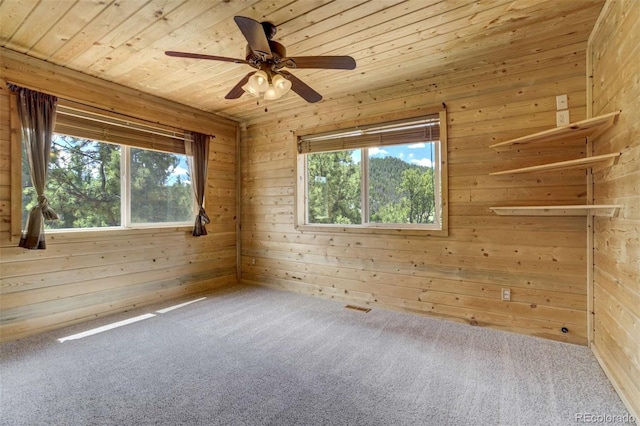 70 Elk Cir, Guffey, CO 80820 - spare room with plenty of natural light, carpet floors, wood walls, a ceiling fan, and wooden ceiling