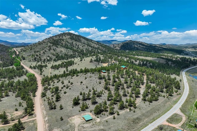 70 Elk Cir, Guffey, CO 80820 - mountain view