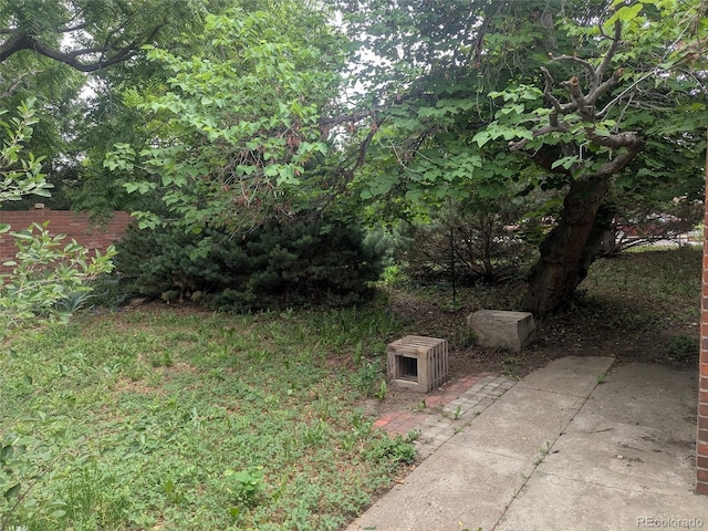 4209 Perry St, Denver, CO 80212 - view of yard