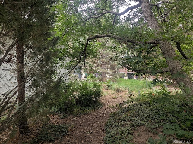 4209 Perry St, Denver, CO 80212 - view of wooded area