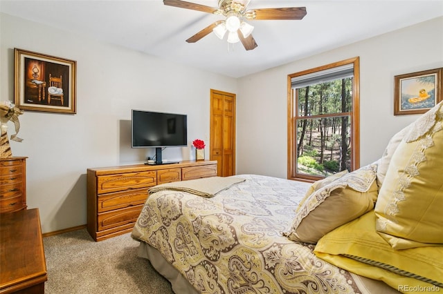 1350 Spring Valley Dr, Colorado Springs, CO 80921 - photo 27
