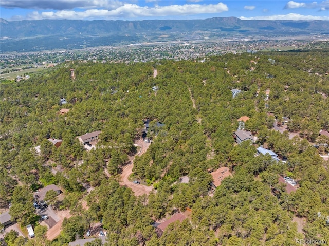 1350 Spring Valley Dr, Colorado Springs, CO 80921 - photo 47