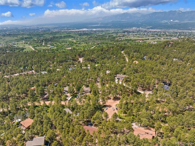 1350 Spring Valley Dr, Colorado Springs, CO 80921 - photo 48