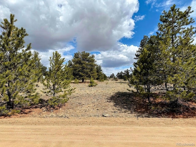 333 Jasper Way, Hartsel, CO 80449 - photo 1