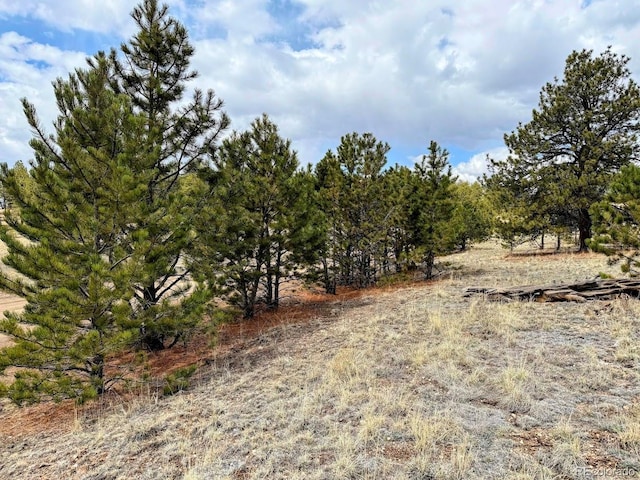 333 Jasper Way, Hartsel, CO 80449 - photo 2