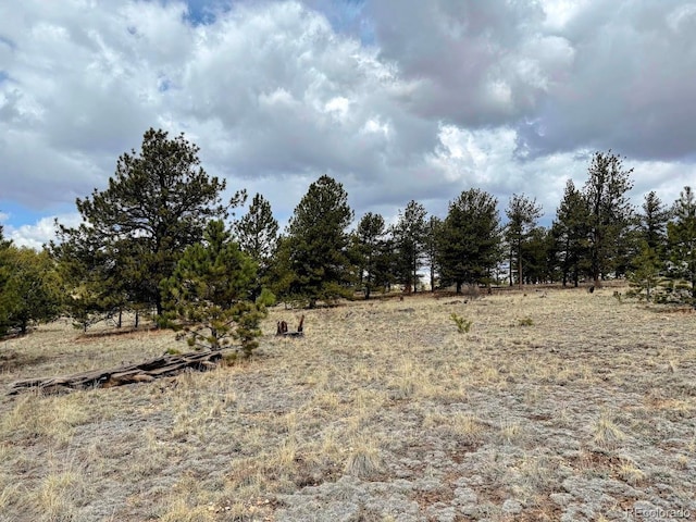 333 Jasper Way, Hartsel, CO 80449 - photo 3
