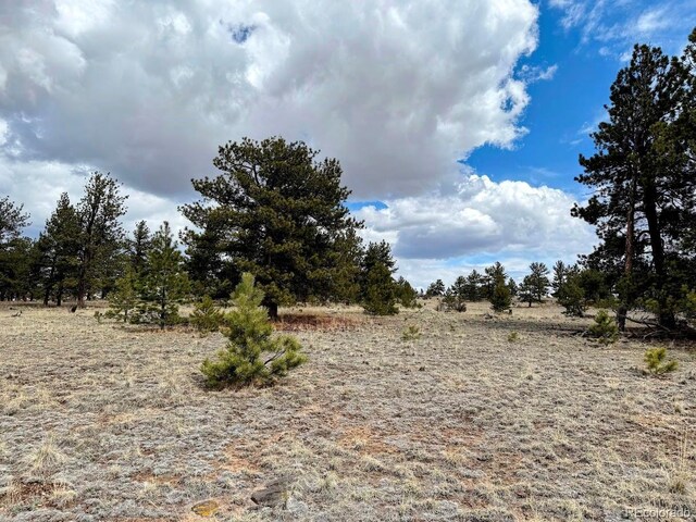 333 Jasper Way, Hartsel, CO 80449 - photo 4