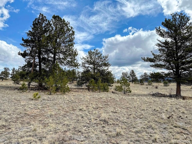 333 Jasper Way, Hartsel, CO 80449 - photo 5