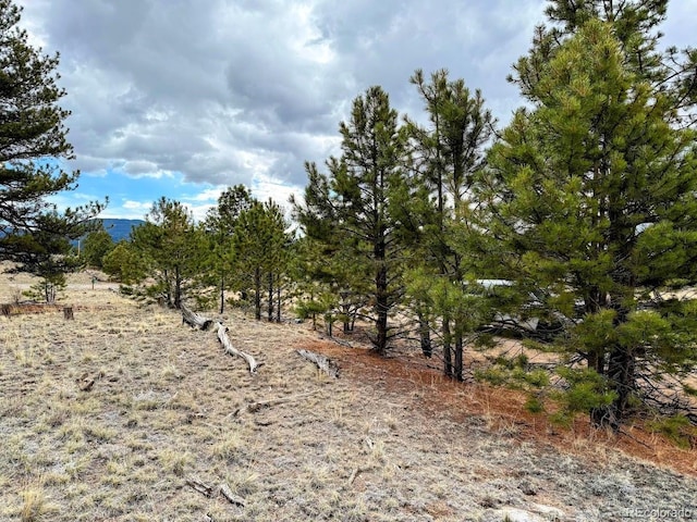 333 Jasper Way, Hartsel, CO 80449 - photo 6
