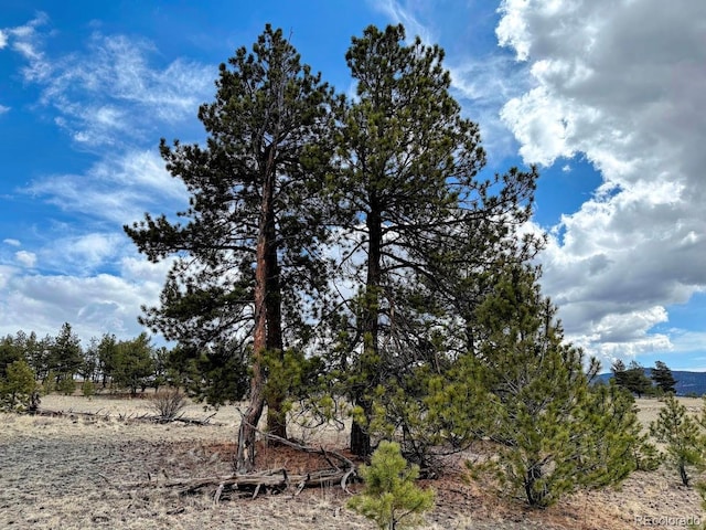 333 Jasper Way, Hartsel, CO 80449 - photo 7