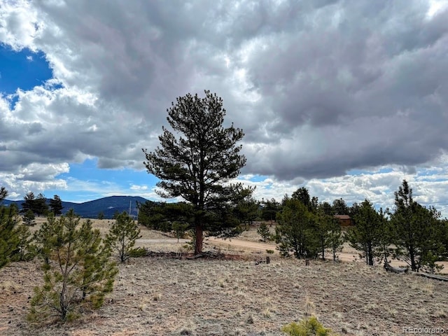333 Jasper Way, Hartsel, CO 80449 - photo 8