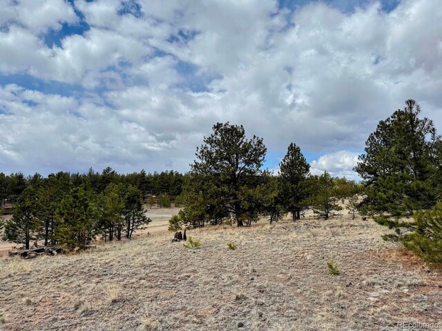 333 Jasper Way, Hartsel, CO 80449 - photo 9