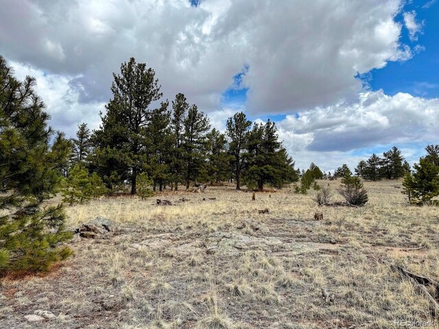 333 Jasper Way, Hartsel, CO 80449 - photo 10