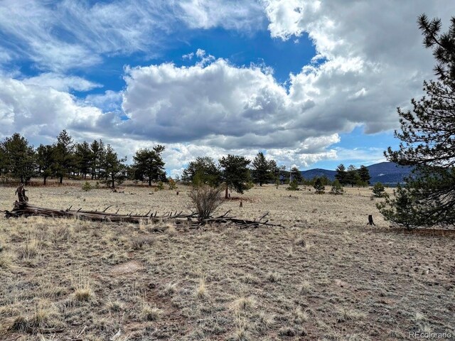 333 Jasper Way, Hartsel, CO 80449 - photo 11
