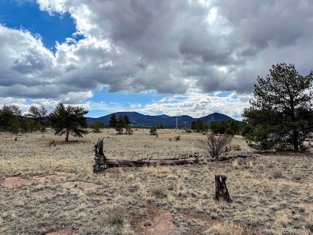 333 Jasper Way, Hartsel, CO 80449 - photo 12