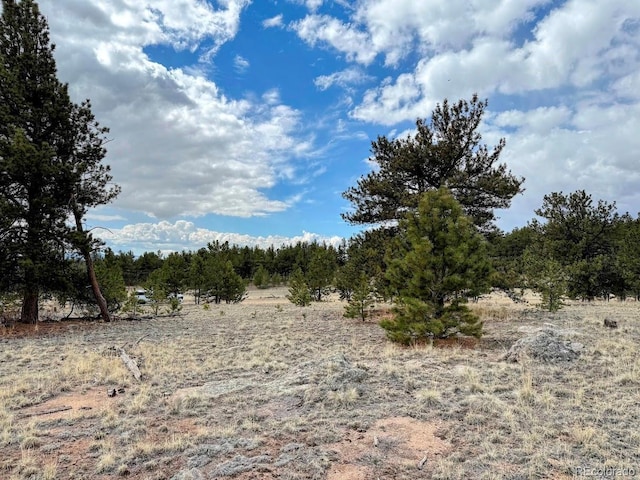 333 Jasper Way, Hartsel, CO 80449 - photo 13