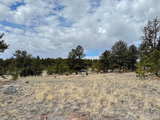 333 Jasper Way, Hartsel, CO 80449 - photo 14