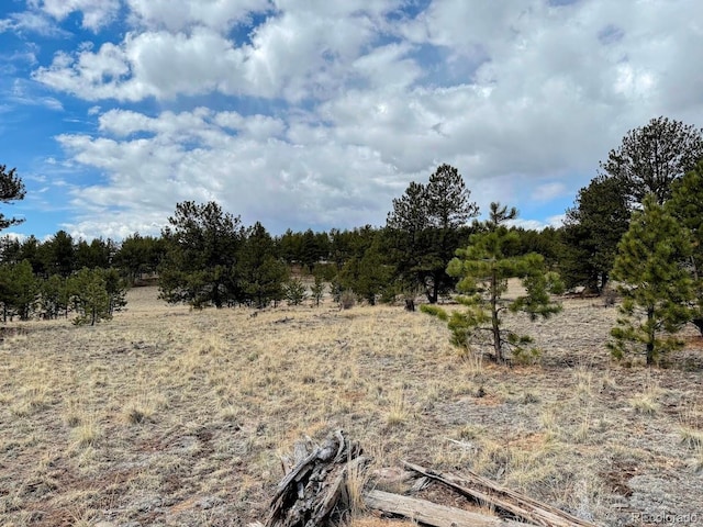 333 Jasper Way, Hartsel, CO 80449 - photo 16