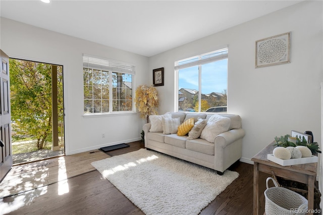 living room featuring dark wood-type flooring