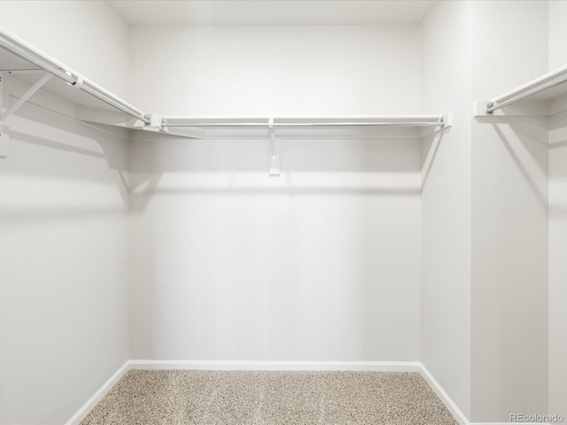 22360 E 8th Ave, Aurora, CO 80018 - spacious closet featuring carpet floors