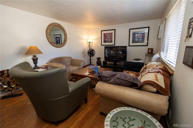 living room featuring wood-type flooring