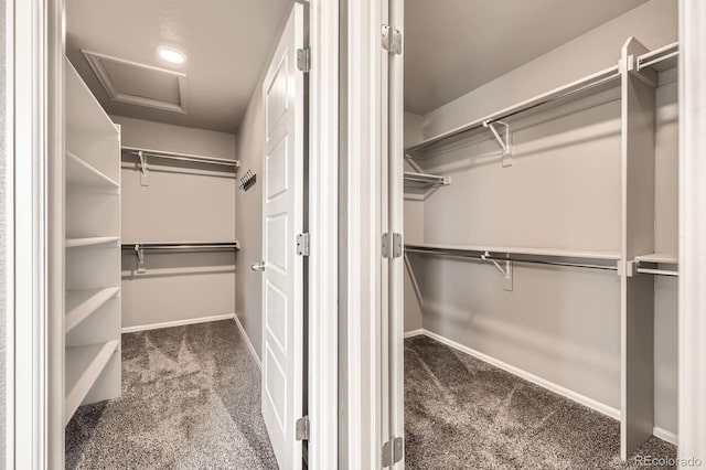 785 Iris St, Brighton, CO 80601 - spacious closet featuring carpet and attic access