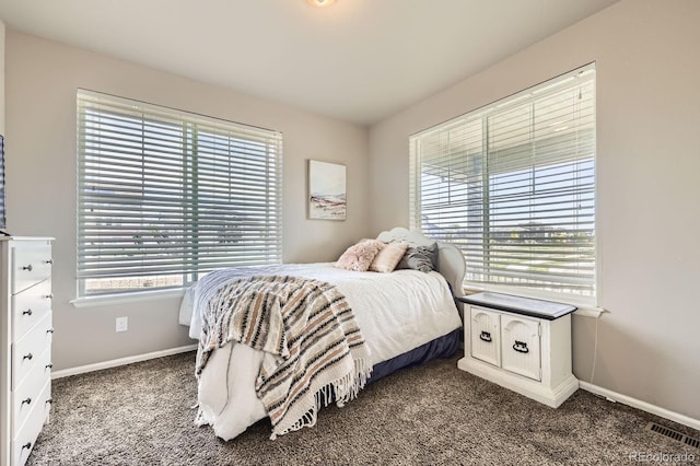 785 Iris St, Brighton, CO 80601 - photo 19