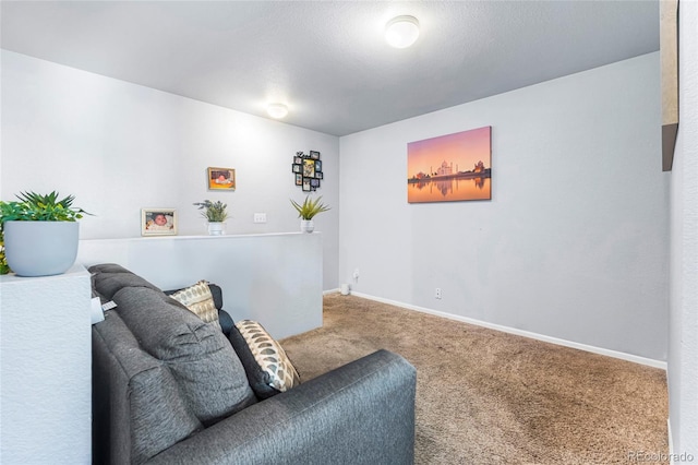 4528 Andes St, Denver, CO 80249 - carpeted living room featuring baseboards