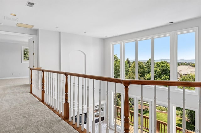 96 Falcon Hills Dr, Highlands Ranch, CO 80126 - photo 23