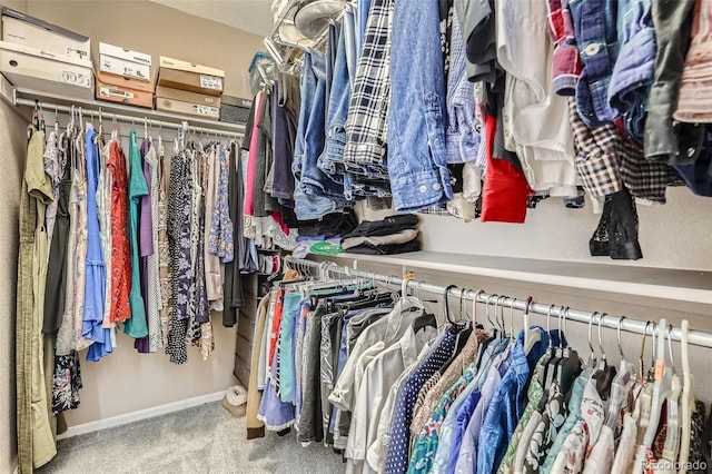 walk in closet with carpet floors