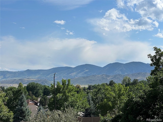 1882 S Zinnia Way, Lakewood, CO 80228 - photo 9