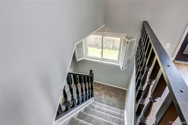 1882 S Zinnia Way, Lakewood, CO 80228 - photo 24