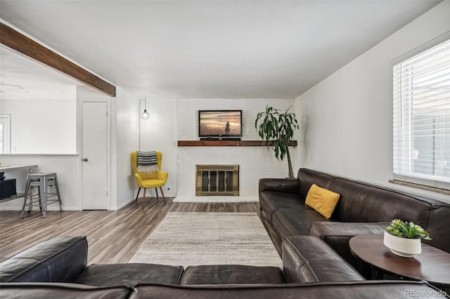 living room featuring a fireplace and light wood-type flooring