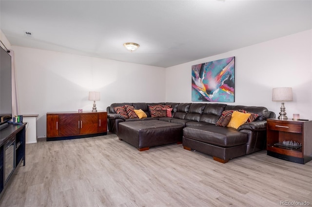 6245 Fencerail Hts, Colorado Springs, CO 80919 - living room with light wood-type flooring