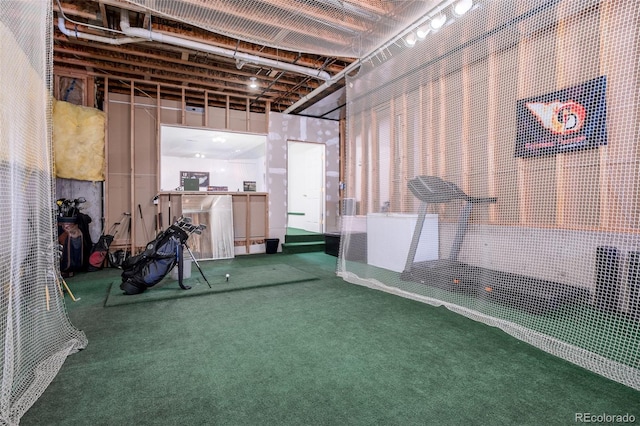 6245 Fencerail Hts, Colorado Springs, CO 80919 - workout room with carpet floors