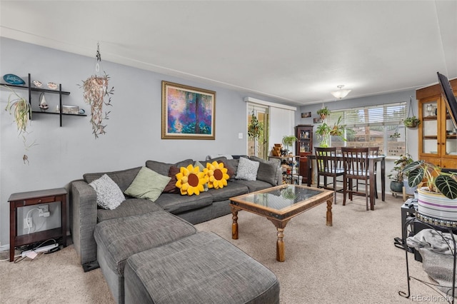 4653 Dover St, Wheat Ridge, CO 80033 - photo 5