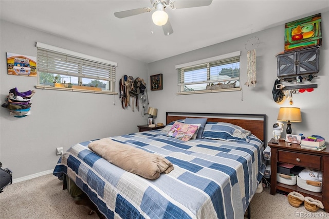 4653 Dover St, Wheat Ridge, CO 80033 - photo 10