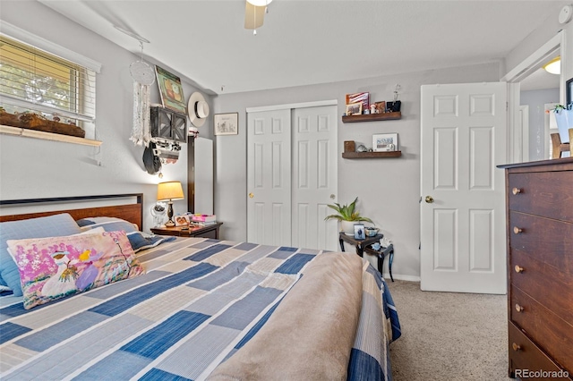 4653 Dover St, Wheat Ridge, CO 80033 - photo 11
