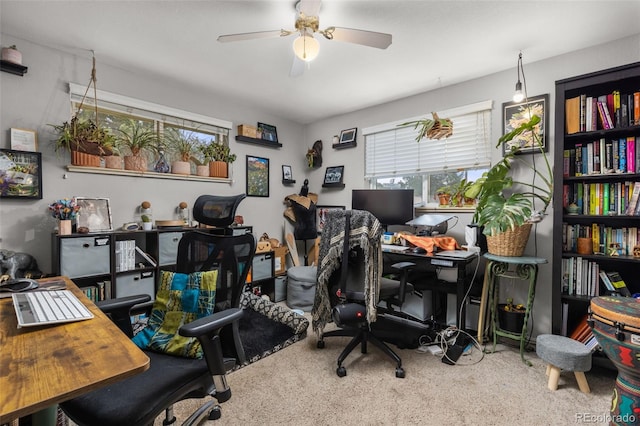 4653 Dover St, Wheat Ridge, CO 80033 - photo 14