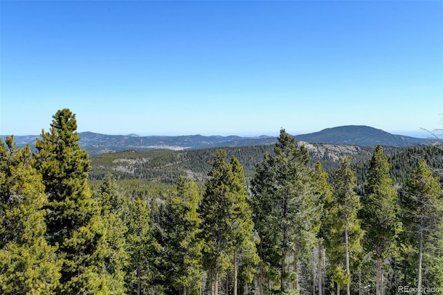 10508 Christopher Dr, Conifer, CO 80433 - view of mountain backdrop with a heavily wooded area