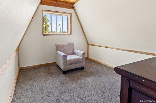 944 Falcon Dr, Hartsel, CO 80449 - photo 33