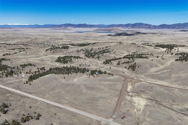 944 Falcon Dr, Hartsel, CO 80449 - photo 43