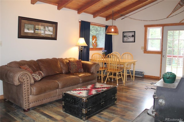 458 Peterson Dr, Alma, CO 80420 - photo 8