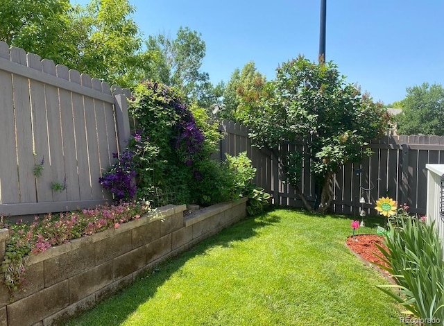 19447 E Bellisario Creek Dr, Parker, CO 80134 - view of yard